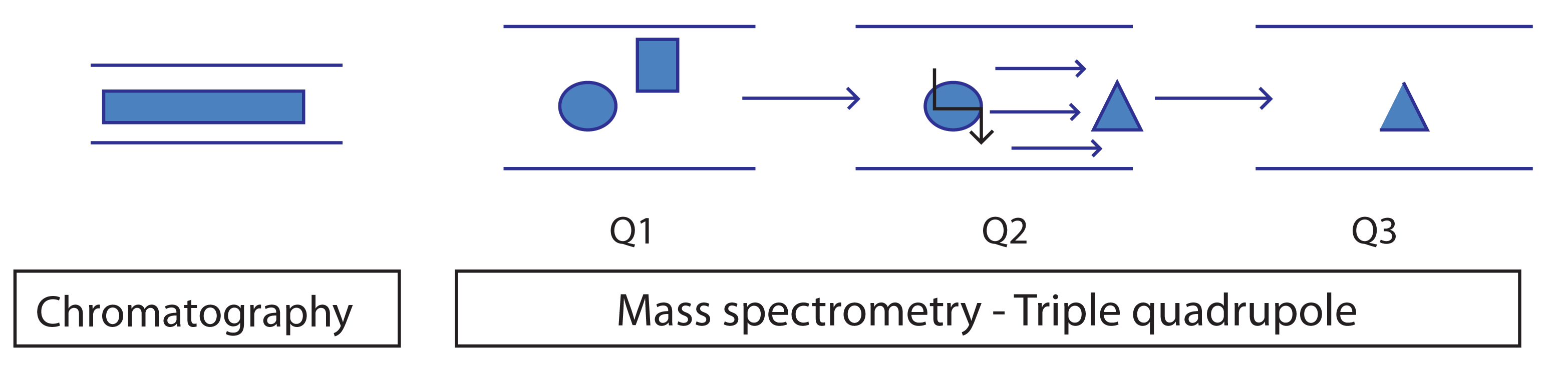 Quantitation in hyphenated chromatographic techniques Separation Science